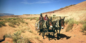 The Wagon was a means of travel in the Navajo Nation
