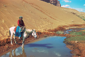 Navajo Indian Watering her Horse