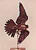 bronze falcon