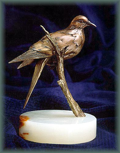 bronze mourning dove